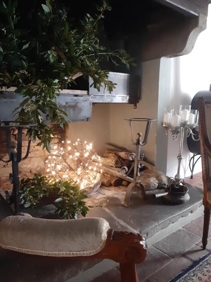 Agriturismo Frantoio Valiani 코르토나 외부 사진