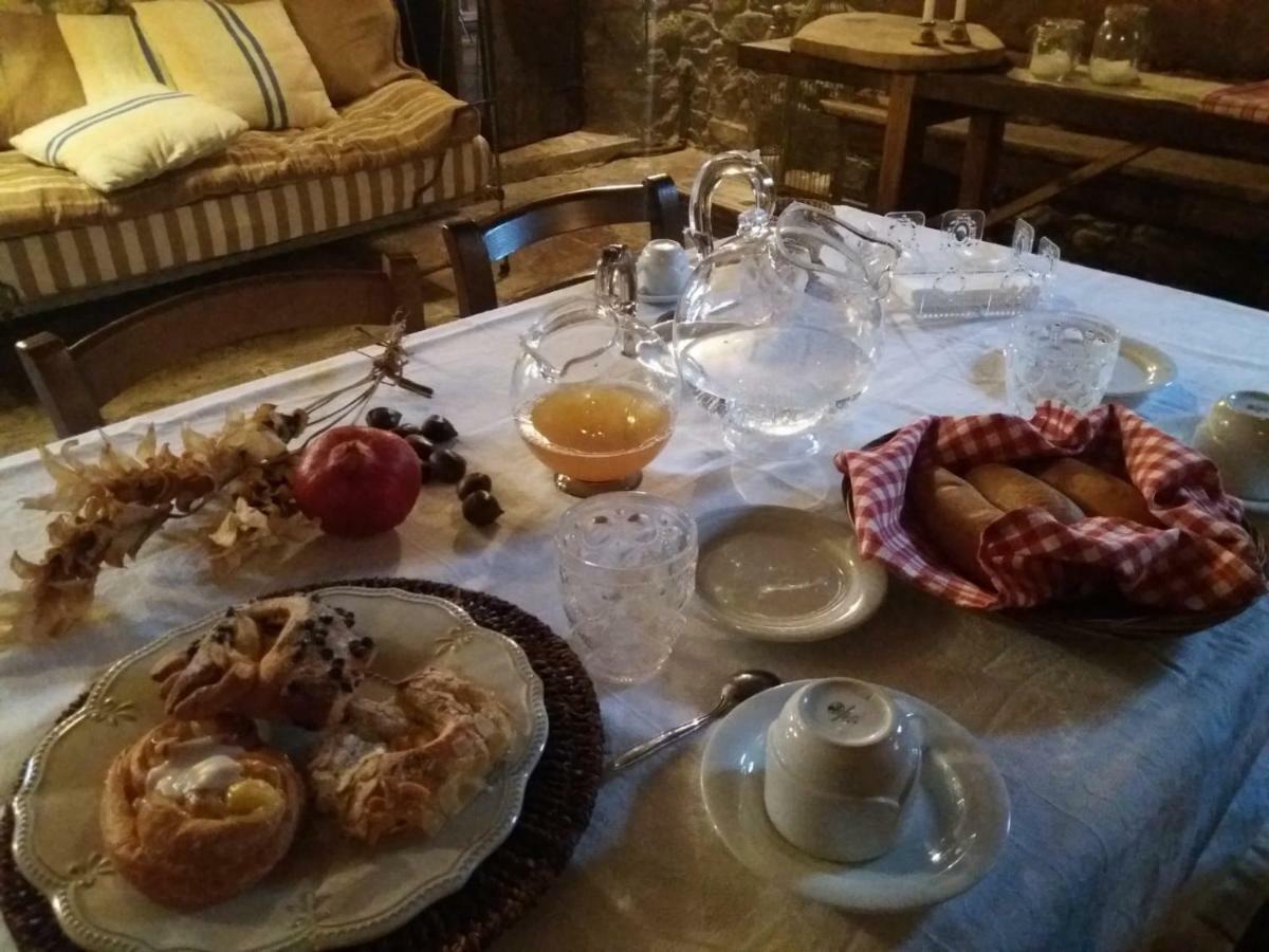 Agriturismo Frantoio Valiani 코르토나 외부 사진