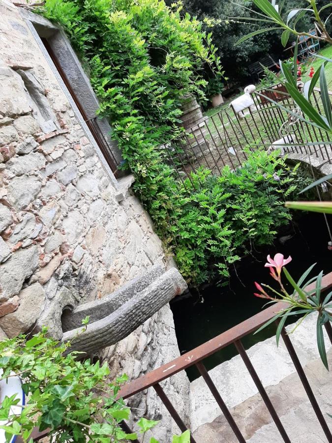 Agriturismo Frantoio Valiani 코르토나 외부 사진